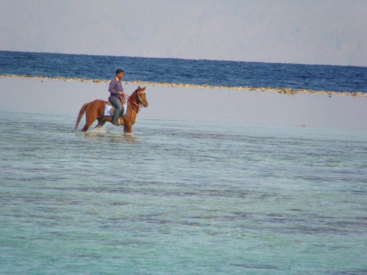 Villa Boghdady Dahab Zewnętrze zdjęcie